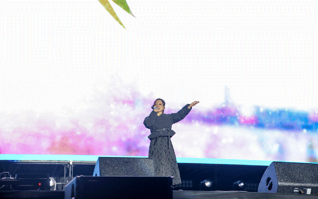 平陽體育中心群星演唱會！超萬人圍觀，現(xiàn)場火爆High唱！