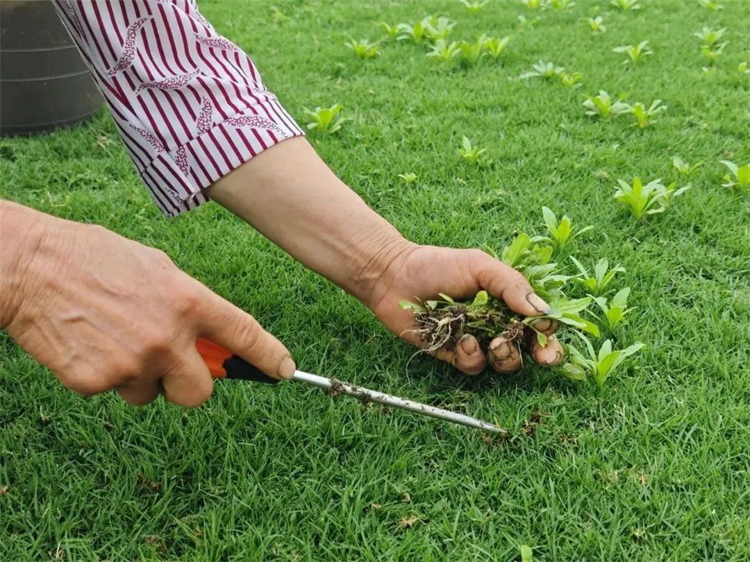 萬豪集團(tuán)匠心助力，6月齊聚重慶龍興足球場為國足吶喊助威！