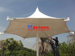 膜結(jié)構(gòu)形態(tài)有哪幾種？分別有哪些特點(diǎn)特征？